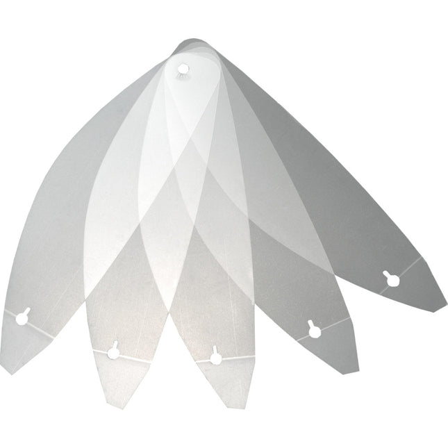 Abreißfolien Klar 5 Stück (CWR-F2R)